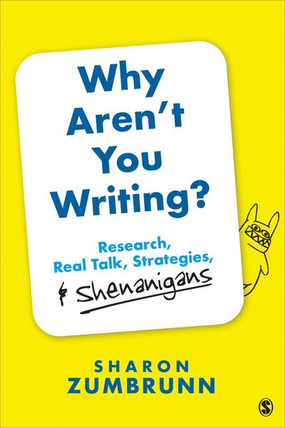 Produktbild: Why Aren't You Writing?