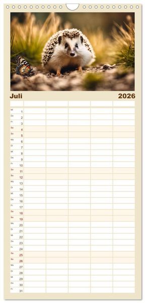 Produktbild: Familienplaner 2026 - Igel - Wildtier des Jahres 2024 mit 5 Spalten (Wandkalender, 21 x 45 cm) CALVENDO