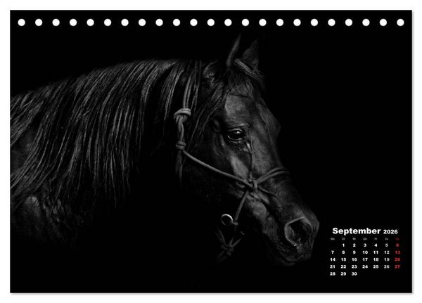 Produktbild: Pferde zwischen Licht und Schatten (Tischkalender 2026 DIN A5 quer), CALVENDO Monatskalender