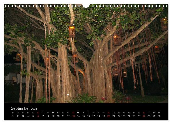 Produktbild: Trauminsel Mauritius (Wandkalender 2026 DIN A3 quer), CALVENDO Monatskalender