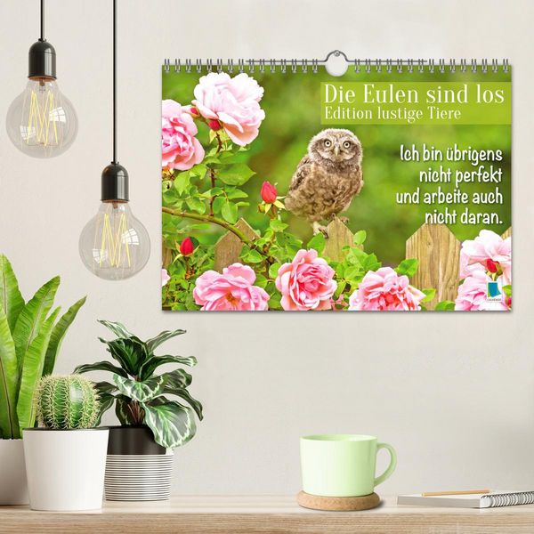 Produktbild: Die Eulen sind los: Edition lustige Tiere (Wandkalender 2026 DIN A4 quer), CALVENDO Monatskalender