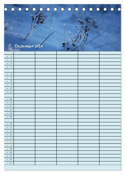 Produktbild: Kleine Natursch&ouml;nheiten (Tischkalender 2026 DIN A5 hoch), CALVENDO Monatskalender
