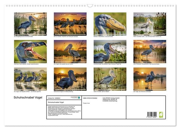 Produktbild: Schuhschnabel Vogel (Wandkalender 2027 DIN A2 quer), CALVENDO Monatskalender