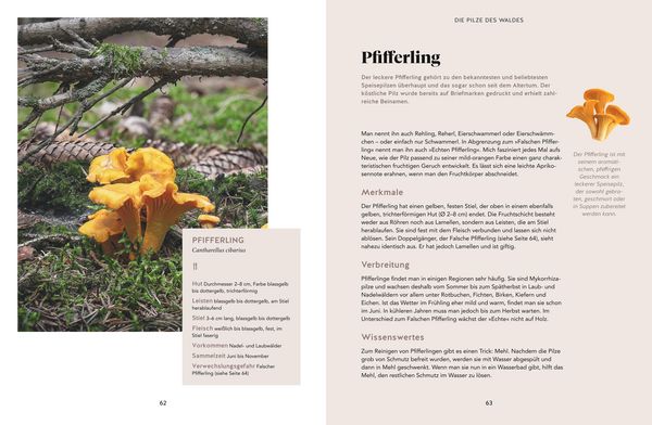 Produktbild: Abenteuer Wald