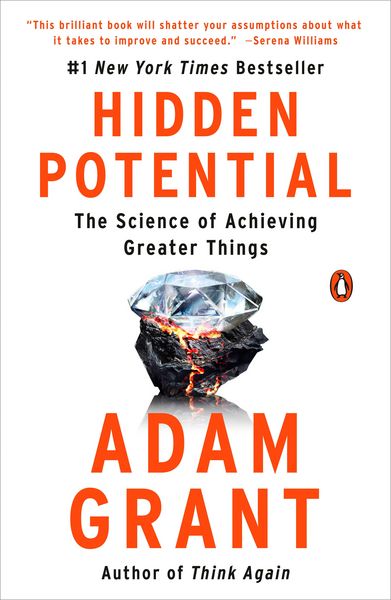 Produktbild: Hidden Potential