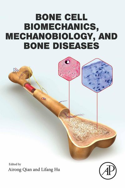 Produktbild: Bone Cell Biomechanics, Mechanobiology and Bone Diseases
