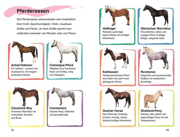 Produktbild: SUPERLESER! Emma und der Pony-Klub