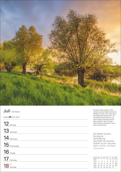 Produktbild: B&auml;ume Wochenplaner 2027 - 53 stimmungsvolle Fotografien