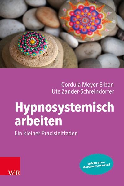 Produktbild: Hypnosystemisch arbeiten: Ein kleiner Praxisleitfaden