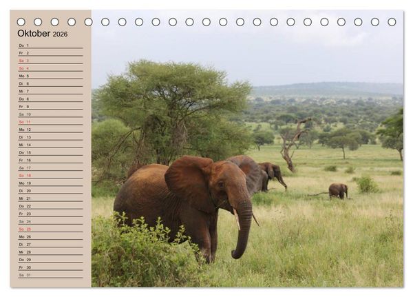 Produktbild: Elefanten in freier Wildbahn (Tischkalender 2026 DIN A5 quer), CALVENDO Monatskalender