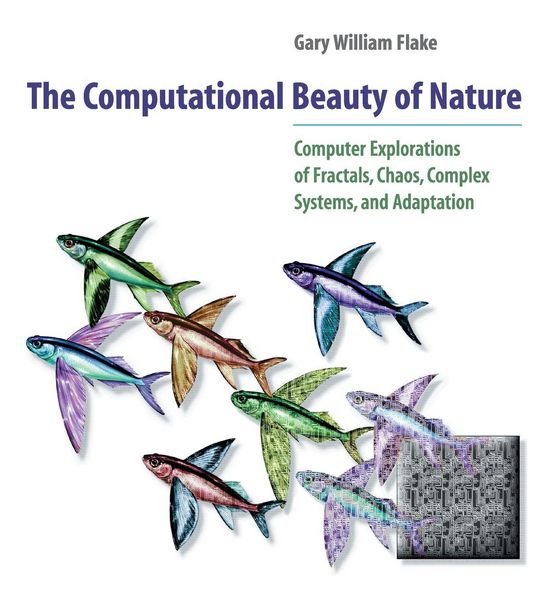 Produktbild: The Computational Beauty of Nature: Computer Explorations of Fractals, Chaos, Complex Systems, and Adaptation