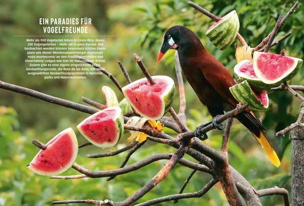 Produktbild: DUMONT Bildatlas Costa Rica