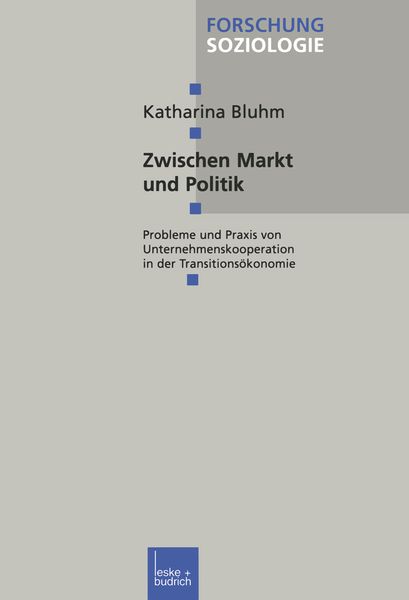Zwischen Markt und Politik, Taschenbuch von Katharina Bluhm, VS Verlag für Sozialwissenschaften, 9783810023704