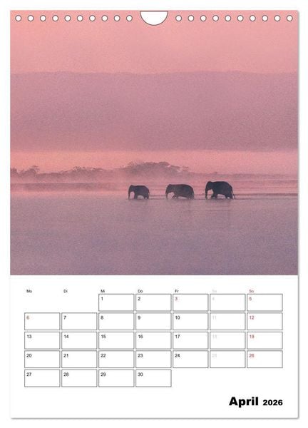 Produktbild: THAILAND - Mein Urlaubsplaner (Wandkalender 2026 DIN A4 hoch), CALVENDO Monatskalender