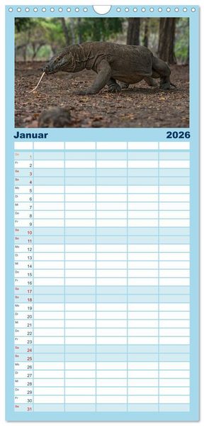 Produktbild: Familienplaner 2026 - Drachen: Geheimnisvolles Tierreich mit 5 Spalten (Wandkalender, 21 x 45 cm) CALVENDO