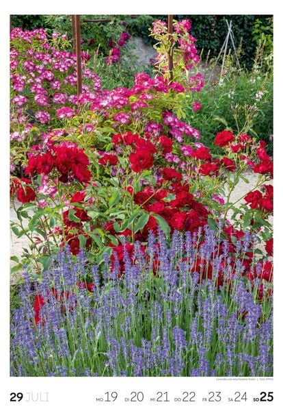 Produktbild: Garten Wochenkalender 2027
