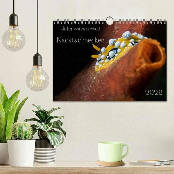 Produktbild: Unterwasserwelt Nacktschnecken (Wandkalender 2026 DIN A4 quer), CALVENDO Monatskalender