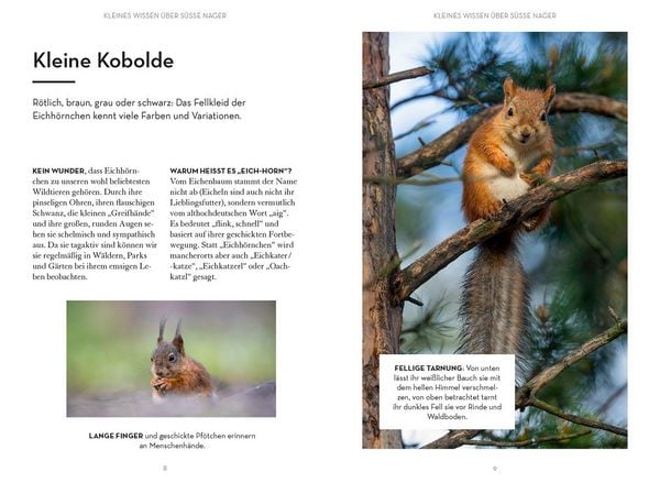 Produktbild: Mach was f&uuml;r Eichh&ouml;rnchen