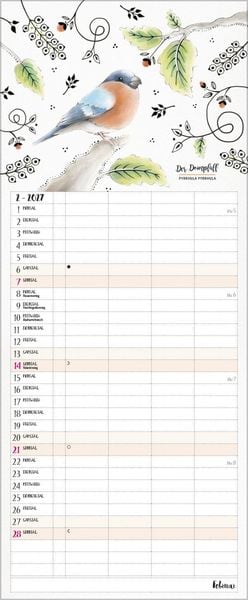 Produktbild: Familienplaner Pretty Birds 2027