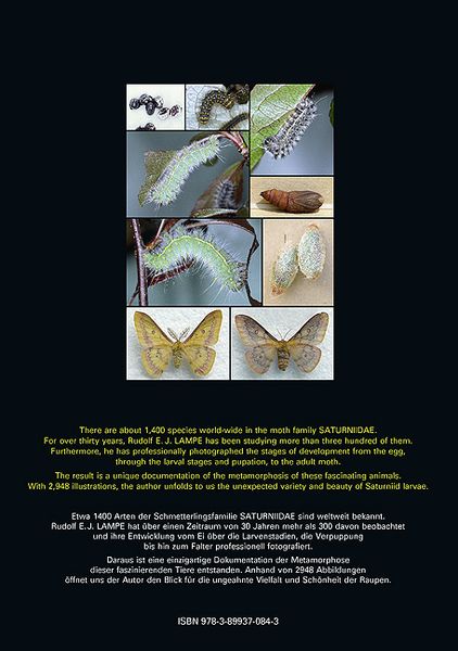 Produktbild: Saturniidae of the World &ndash; Pfauenspinner der Welt