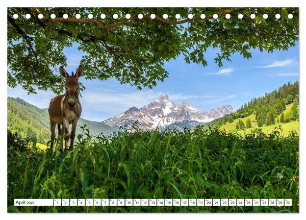Produktbild: Gr&uuml;&szlig;e aus Filzmoos (Tischkalender 2026 DIN A5 quer), CALVENDO Monatskalender