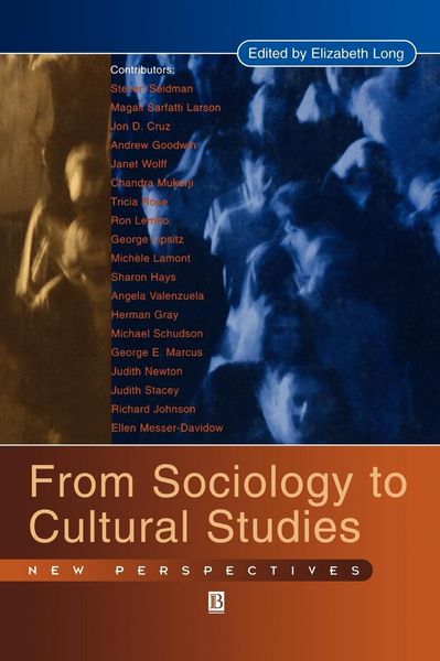 Produktbild: From Sociology to Cultural Studies