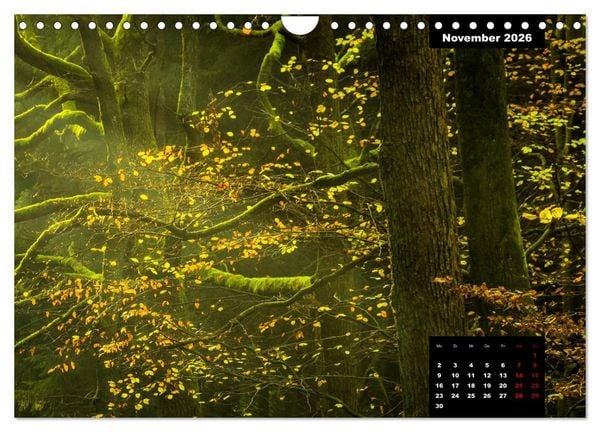 Produktbild: Malerisches Sauerland (Wandkalender 2026 DIN A4 quer), CALVENDO Monatskalender
