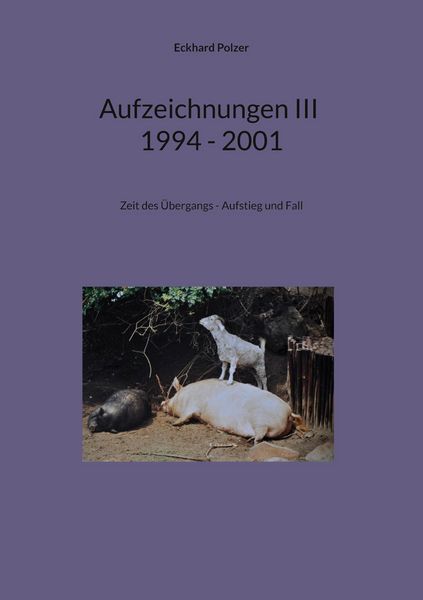 Produktbild: Aufzeichnungen III; 1994 - 2001