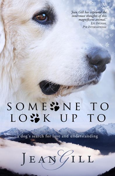 Produktbild: Someone To Look Up To