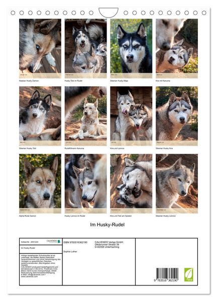 Produktbild: Im Husky-Rudel (Wandkalender 2026 DIN A4 hoch), CALVENDO Monatskalender