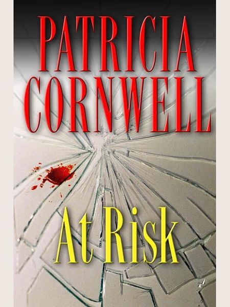 Produktbild: At Risk