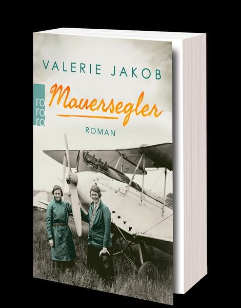 Produktbild: Mauersegler