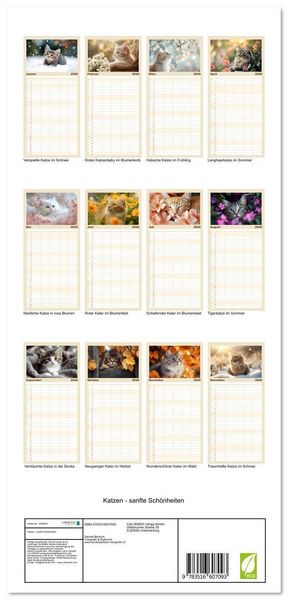 Produktbild: Familienplaner 2026 - Katzen - sanfte Sch&ouml;nheiten mit 5 Spalten (Wandkalender, 21 x 45 cm) CALVENDO