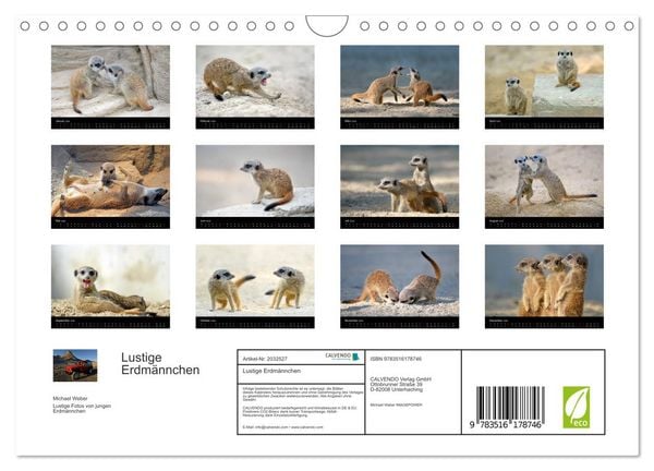 Produktbild: Lustige Erdm&auml;nnchen (Wandkalender 2026 DIN A4 quer), CALVENDO Monatskalender
