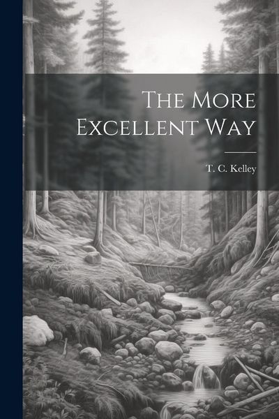 Produktbild: The More Excellent Way