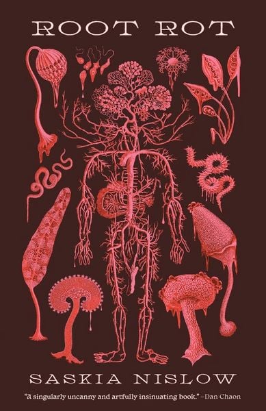 Produktbild: Root Rot