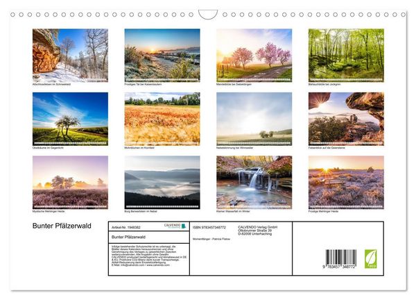 Produktbild: Bunter Pf&auml;lzerwald (Wandkalender 2026 DIN A3 quer), CALVENDO Monatskalender