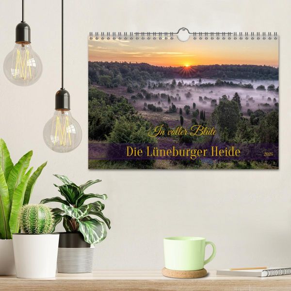 Produktbild: Die L&uuml;neburger Heide - In voller Bl&uuml;te (Wandkalender 2026 DIN A4 quer), CALVENDO Monatskalender