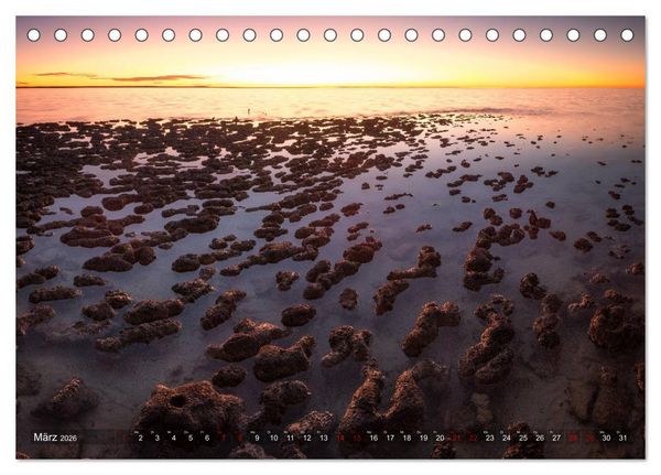 Produktbild: Das wilde Australien (Tischkalender 2026 DIN A5 quer), CALVENDO Monatskalender