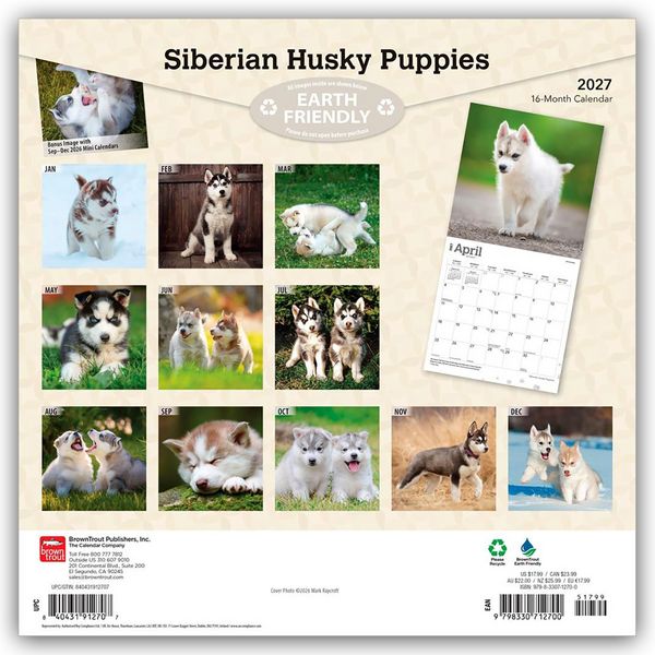 Produktbild: Siberian Husky Puppies &ndash; Siberian Husky Welpen 2027 &ndash; 16-Monatskalender