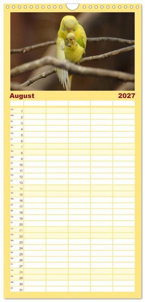 Produktbild: Familienplaner 2027 - Wellensittiche - Gefiederte Freunde mit 5 Spalten (Wandkalender, 21 x 45 cm) CALVENDO