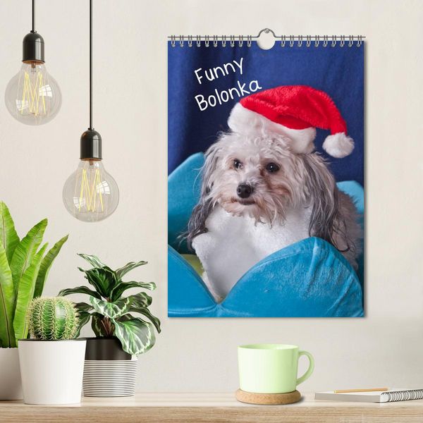 Produktbild: Funny Bolonka (Wandkalender 2026 DIN A4 hoch), CALVENDO Monatskalender