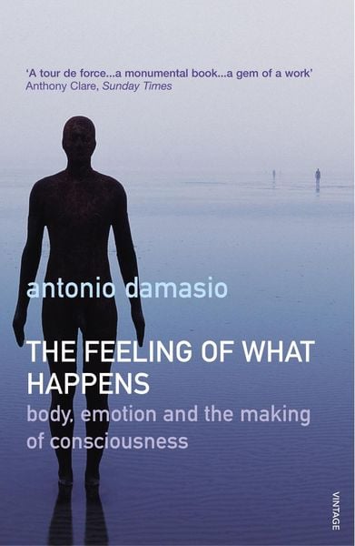 Feeling of What Happens