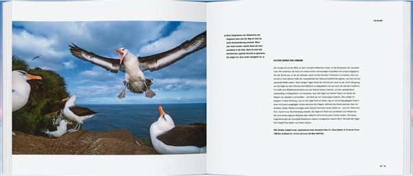 Produktbild: Die erstaunliche Welt der Tiere