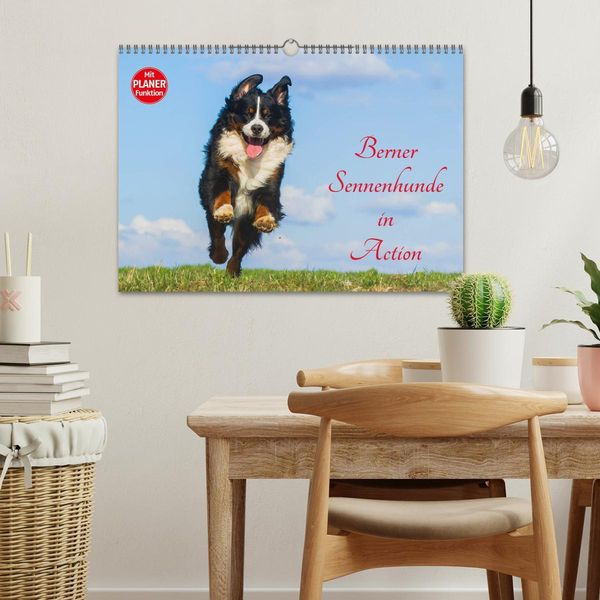 Produktbild: Berner Sennenhunde in Action (Wandkalender 2026 DIN A3 quer), CALVENDO Monatskalender