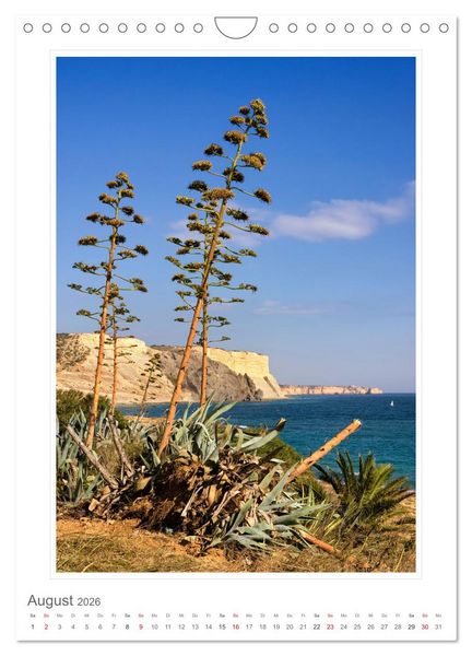 Produktbild: Portugal. Algarve (Wandkalender 2026 DIN A4 hoch), CALVENDO Monatskalender