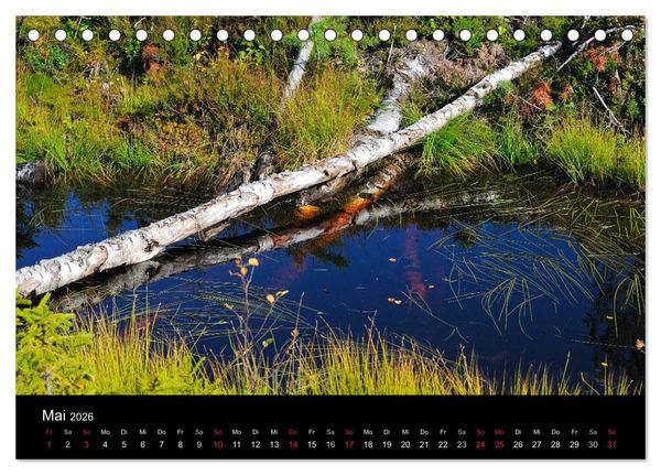 Produktbild: B&auml;ume (Tischkalender 2026 DIN A5 quer), CALVENDO Monatskalender