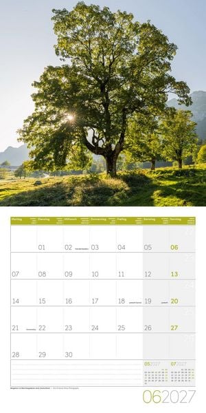 Produktbild: B&auml;ume Kalender 2027 - 30x30 - Art12