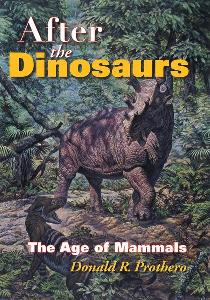 Produktbild: After the Dinosaurs
