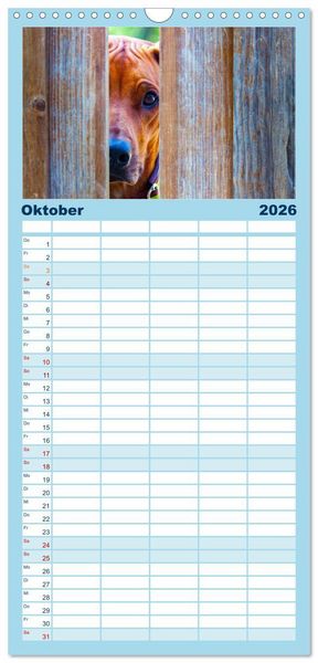 Produktbild: Familienplaner 2026 - Witzige Fellnasen mit 5 Spalten (Wandkalender, 21 x 45 cm) CALVENDO